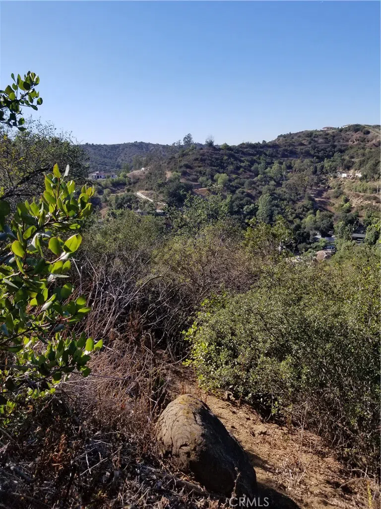 Grand View Drive Chino Hills, CA 91709