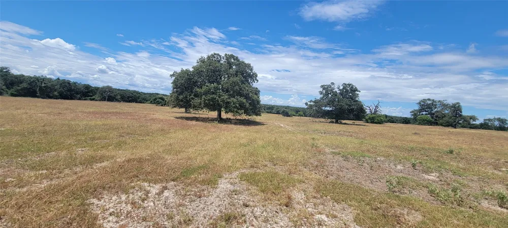000 Hwy 77 Rockdale, TX 76567