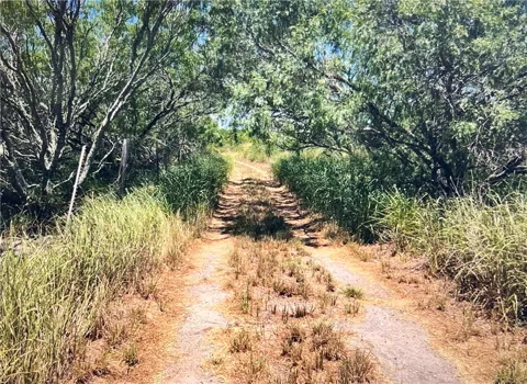 FM 3354 /Cr-12