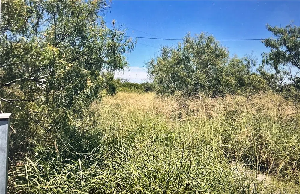 FM 3354 /Cr-12 Bishop, TX 78343