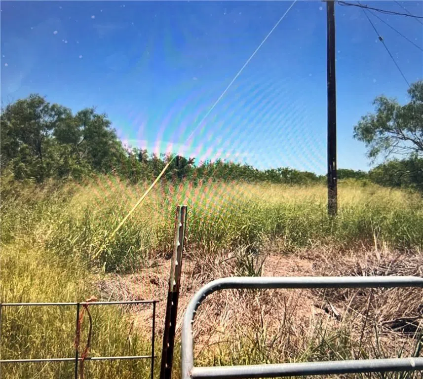 FM 3354 /Cr-12 Bishop, TX 78343