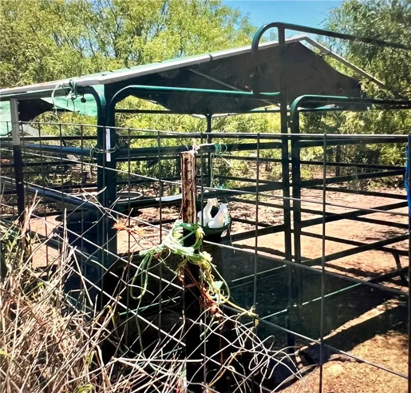 FM 3354 /Cr-12 Bishop, TX 78343