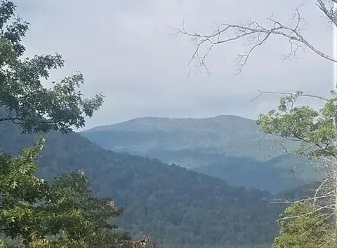 Conley's Creek Road