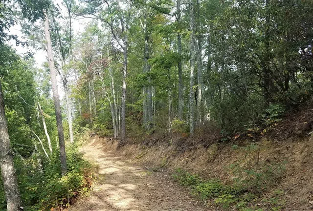 Conley's Creek Road Whittier, NC 28789