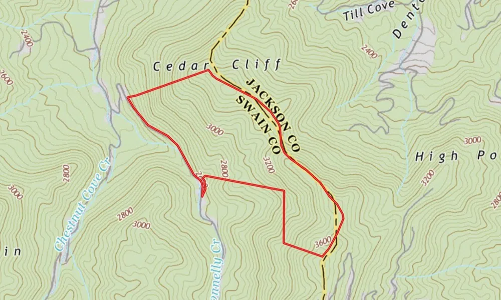 Conley's Creek Road Whittier, NC 28789