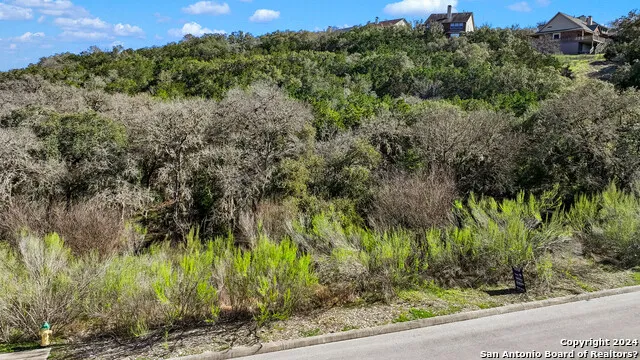602 WINDING RAVINE San Antonio, TX 78258
