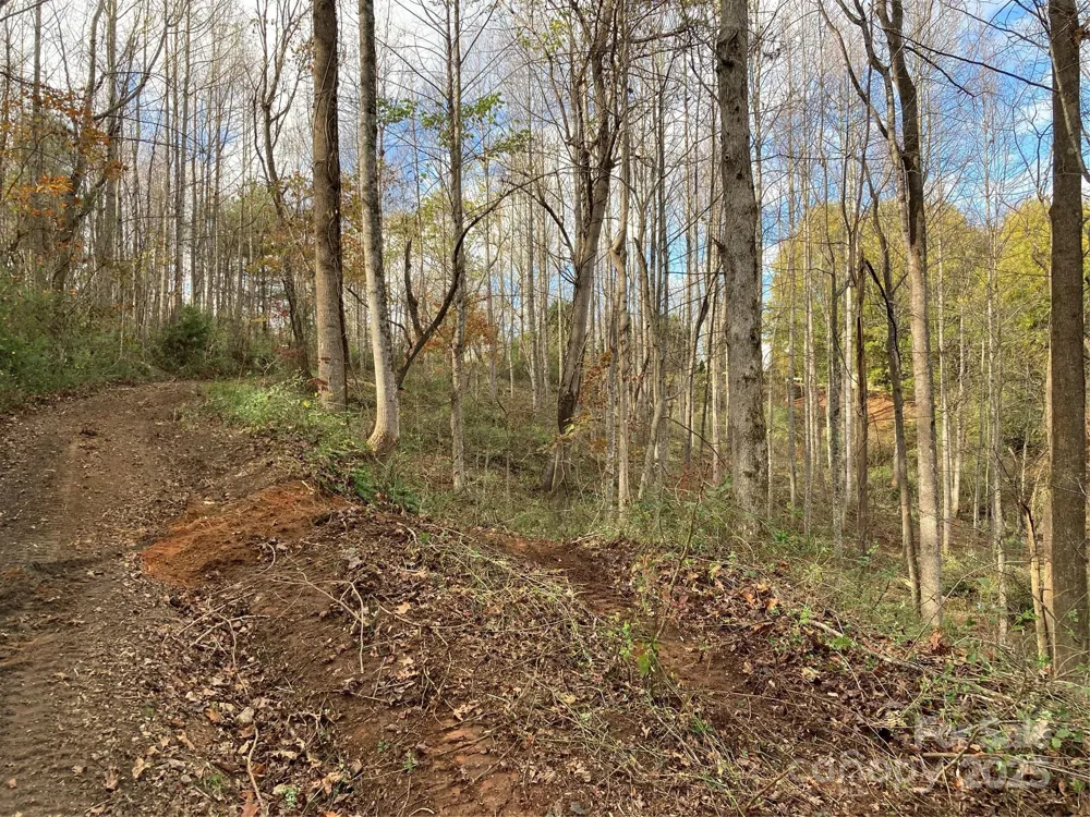 1638 Continental Divide Drive #2 Flat Rock, NC 28731