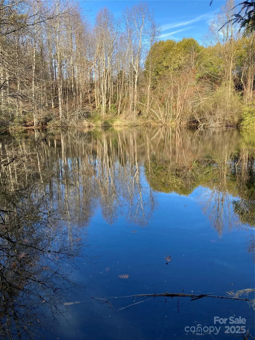 1638 Continental Divide Drive #2 Flat Rock, NC 28731