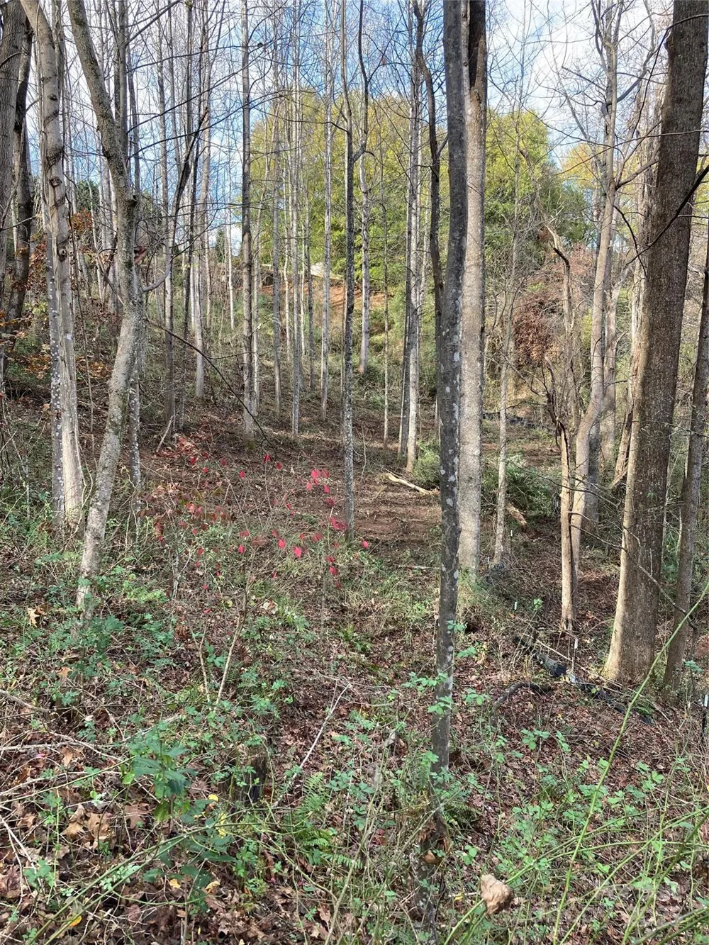 1638 Continental Divide Drive #2 Flat Rock, NC 28731