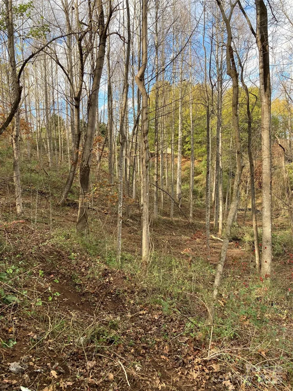 1638 Continental Divide Drive #2 Flat Rock, NC 28731