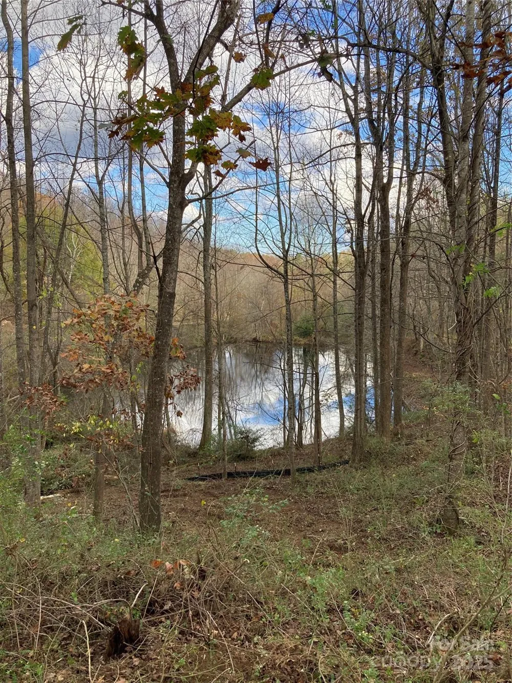 1638 Continental Divide Drive #2 Flat Rock, NC 28731