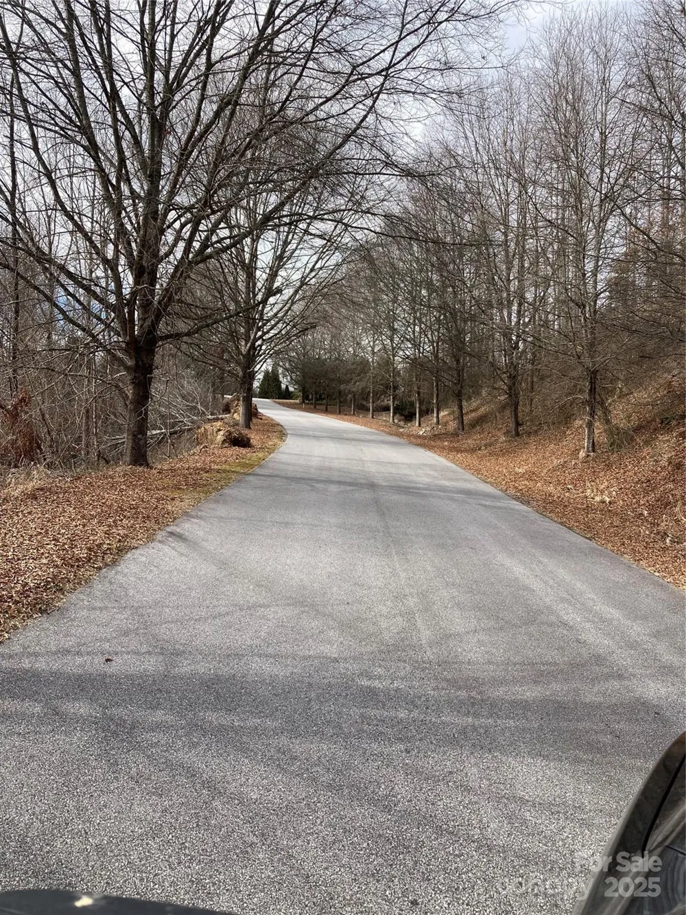 1638 Continental Divide Drive #2 Flat Rock, NC 28731