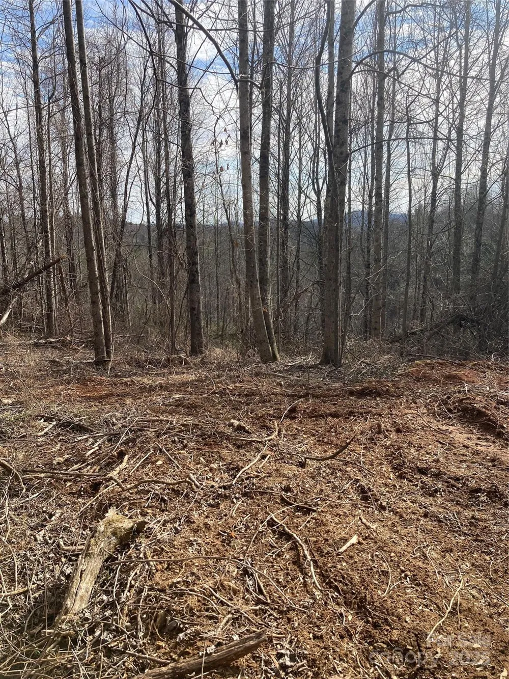 1638 Continental Divide Road #1 Flat Rock, NC 28731