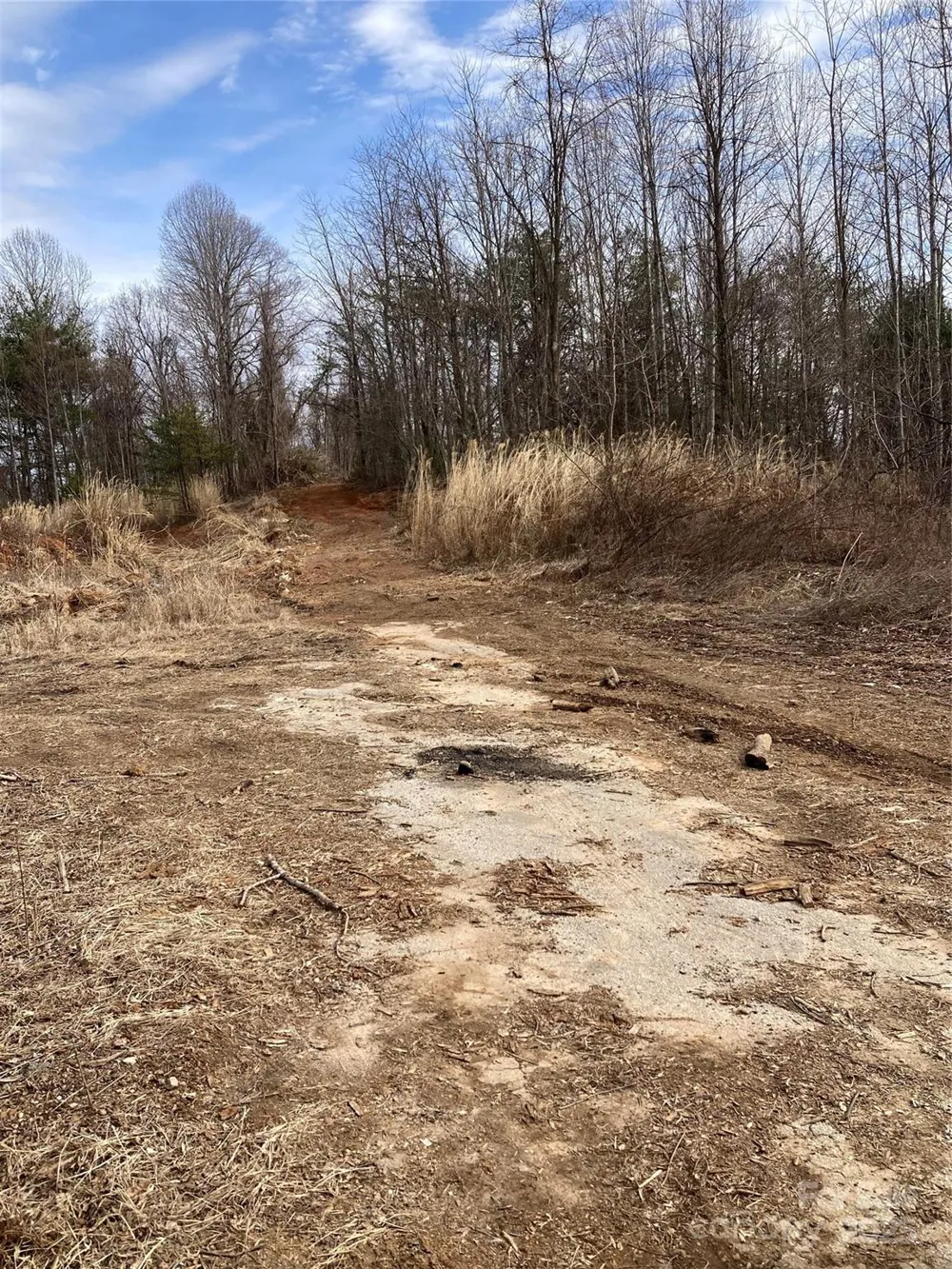 1638 Continental Divide Road #1 Flat Rock, NC 28731