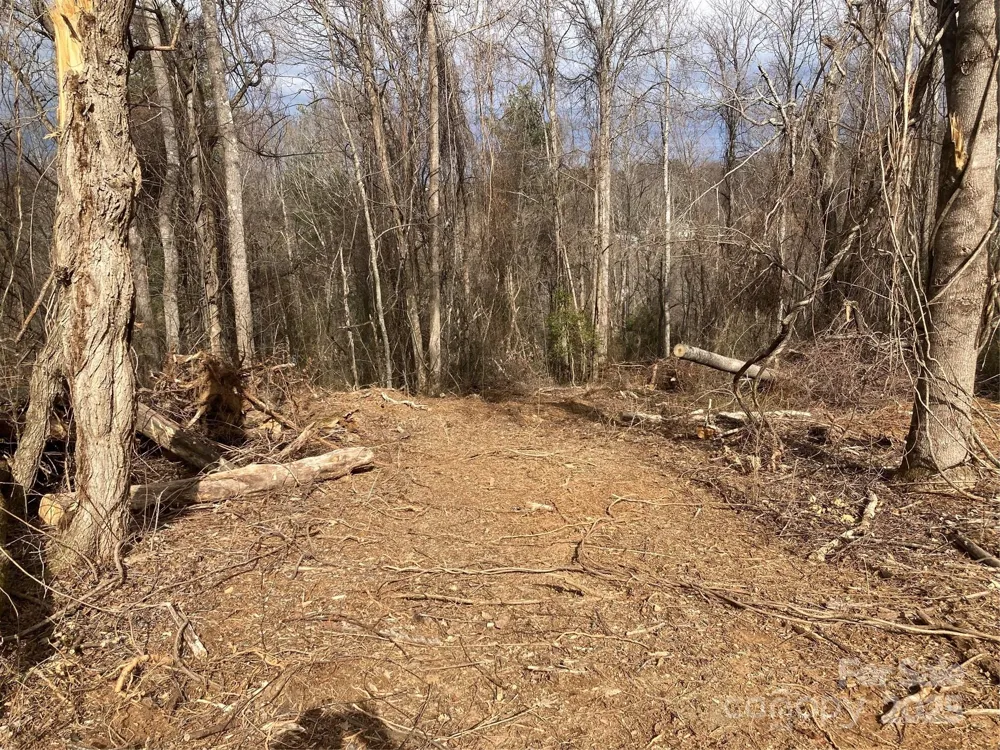 1638 Continental Divide Road #1 Flat Rock, NC 28731