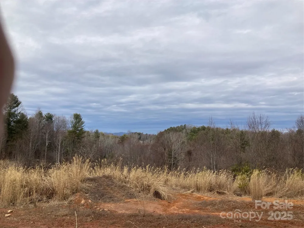 1638 Continental Divide Road #1 Flat Rock, NC 28731