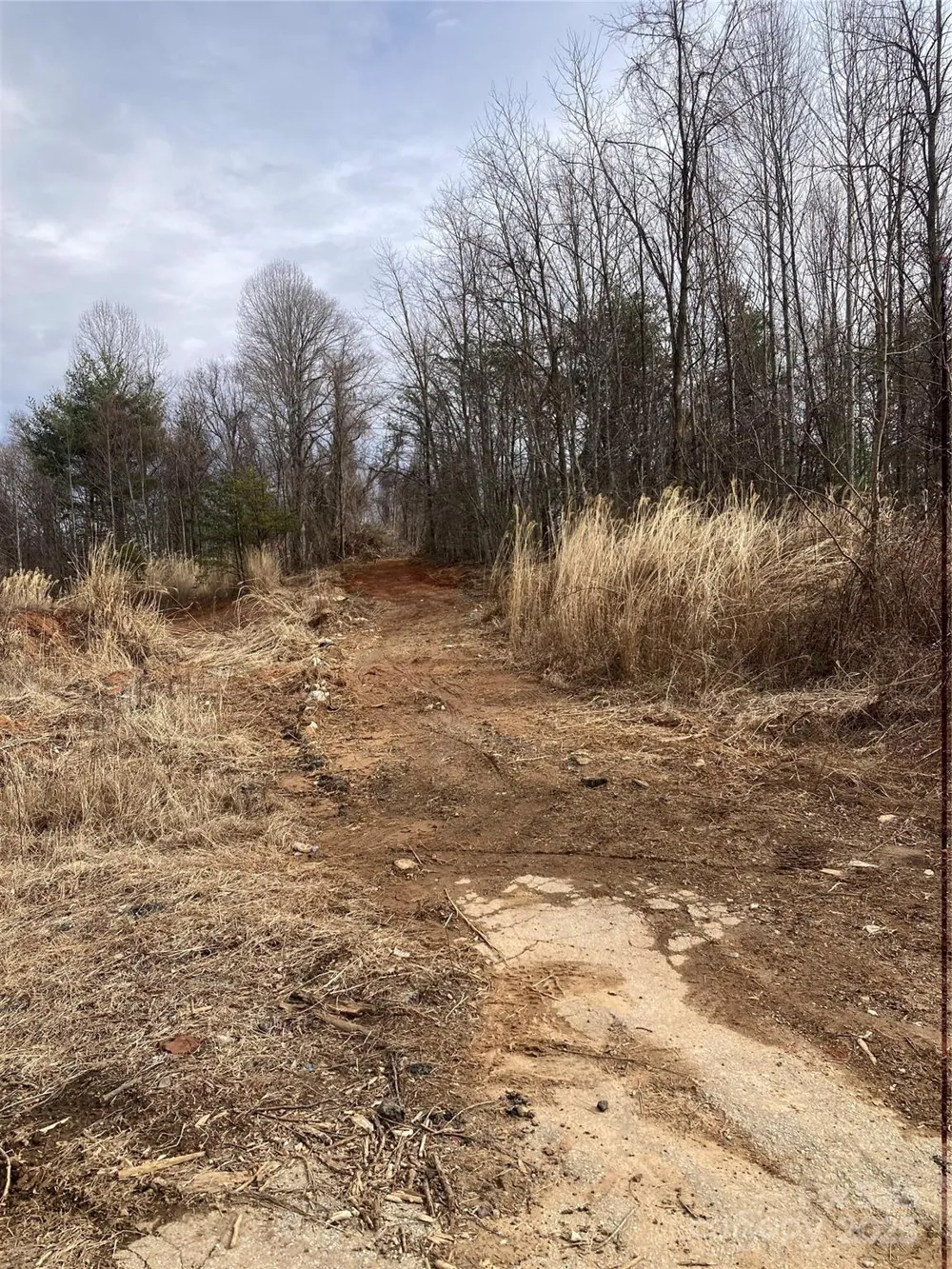 1638 Continental Divide Road #1 Flat Rock, NC 28731