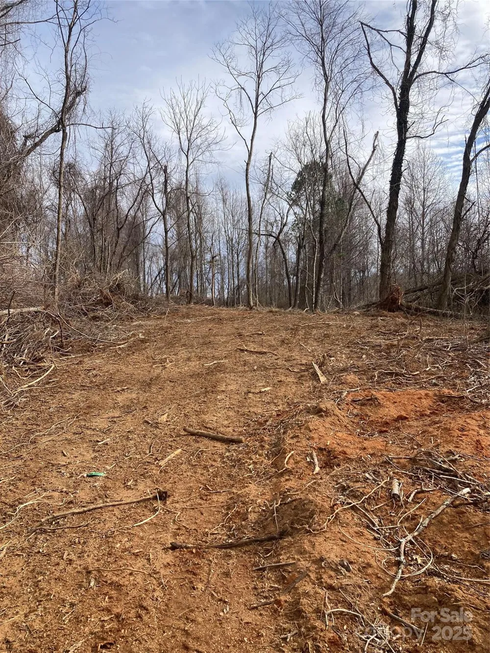 1638 Continental Divide Road #1 Flat Rock, NC 28731