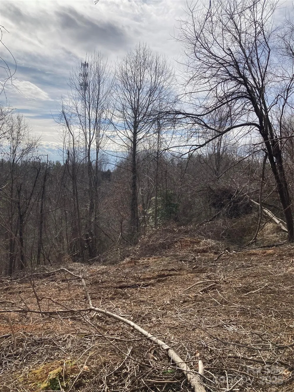 1638 Continental Divide Road #1 Flat Rock, NC 28731