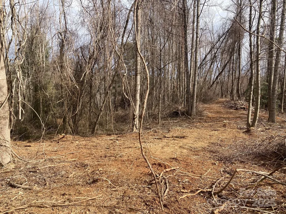 1638 Continental Divide Road #1 Flat Rock, NC 28731
