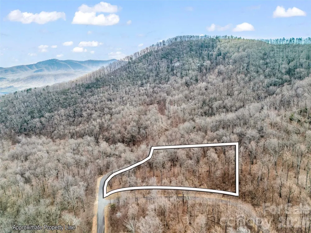 2128 Harm Creek Loop Mill Spring, NC 28756