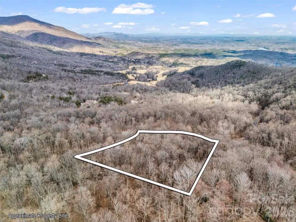 2128 Harm Creek Loop Mill Spring, NC 28756