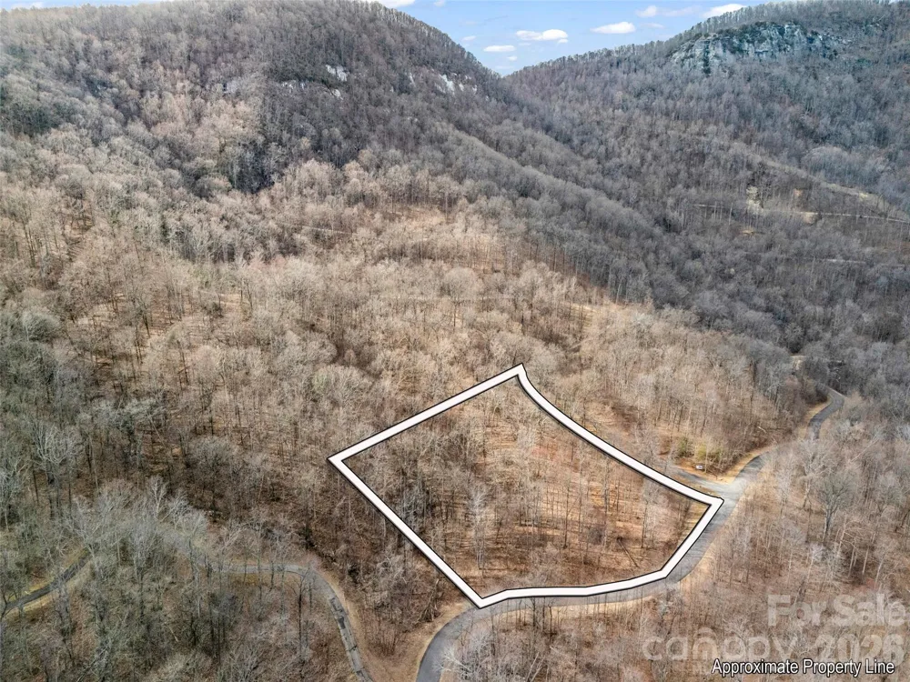 2128 Harm Creek Loop Mill Spring, NC 28756