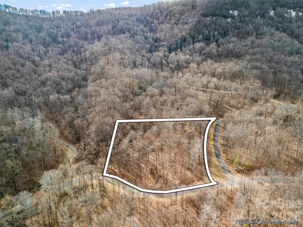 2128 Harm Creek Loop Mill Spring, NC 28756