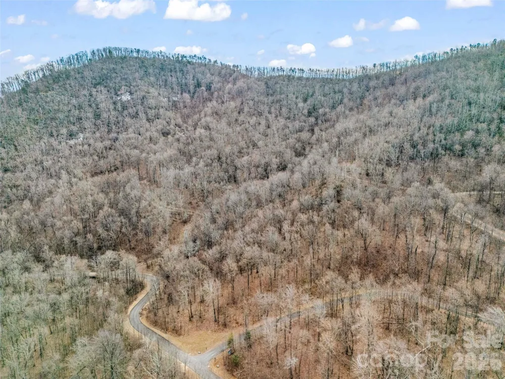 2128 Harm Creek Loop Mill Spring, NC 28756