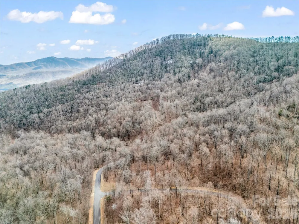 2128 Harm Creek Loop Mill Spring, NC 28756