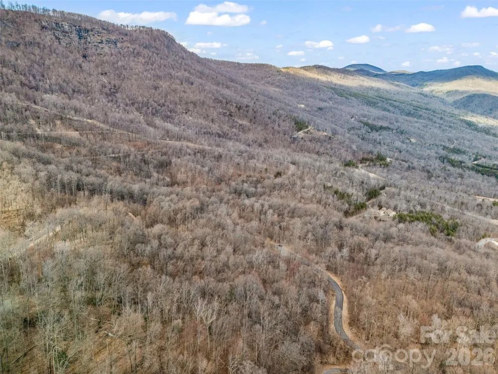 2128 Harm Creek Loop Mill Spring, NC 28756