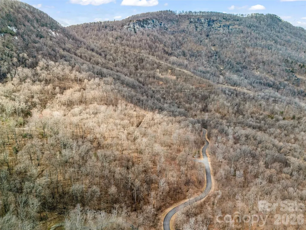 2128 Harm Creek Loop Mill Spring, NC 28756