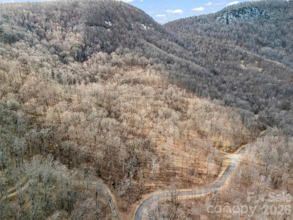 2128 Harm Creek Loop Mill Spring, NC 28756