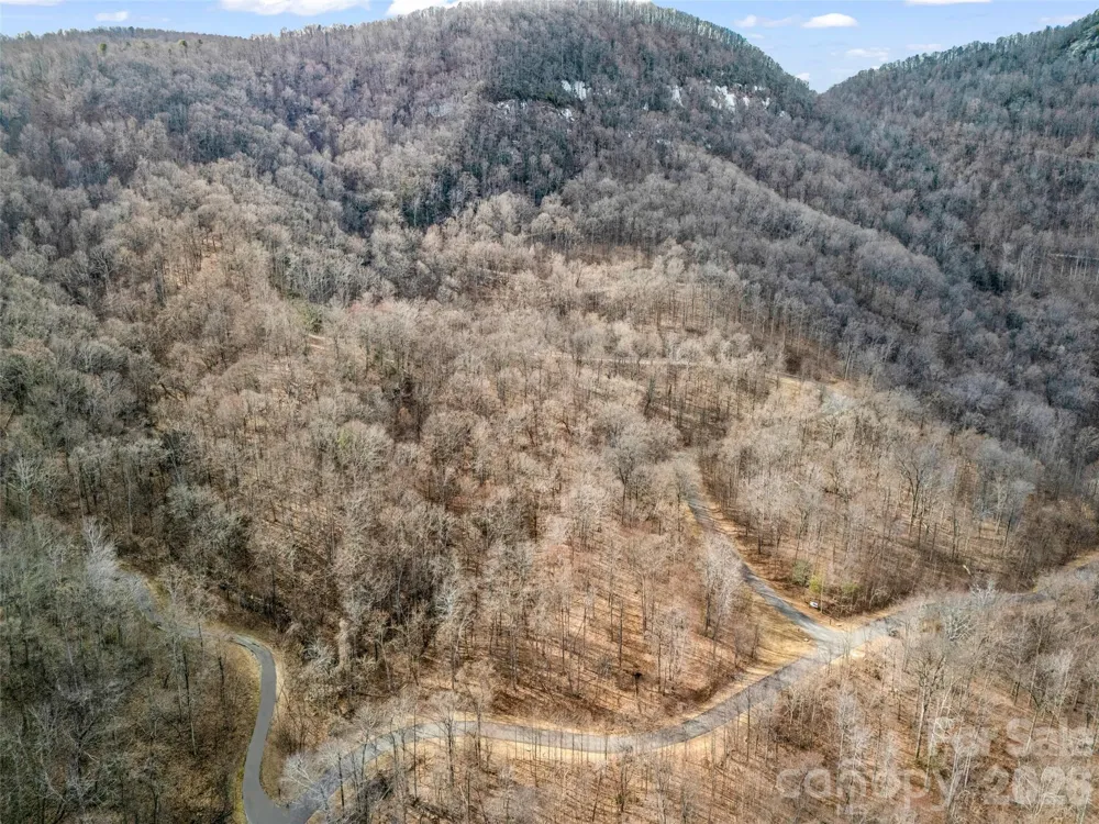 2128 Harm Creek Loop Mill Spring, NC 28756
