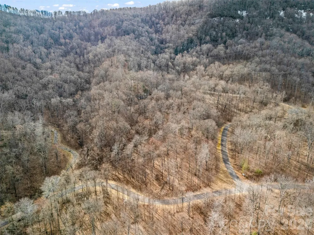 2128 Harm Creek Loop Mill Spring, NC 28756