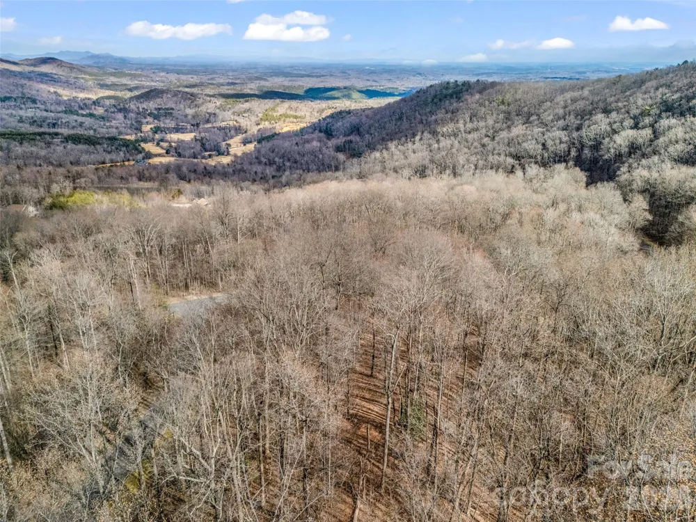 2128 Harm Creek Loop Mill Spring, NC 28756