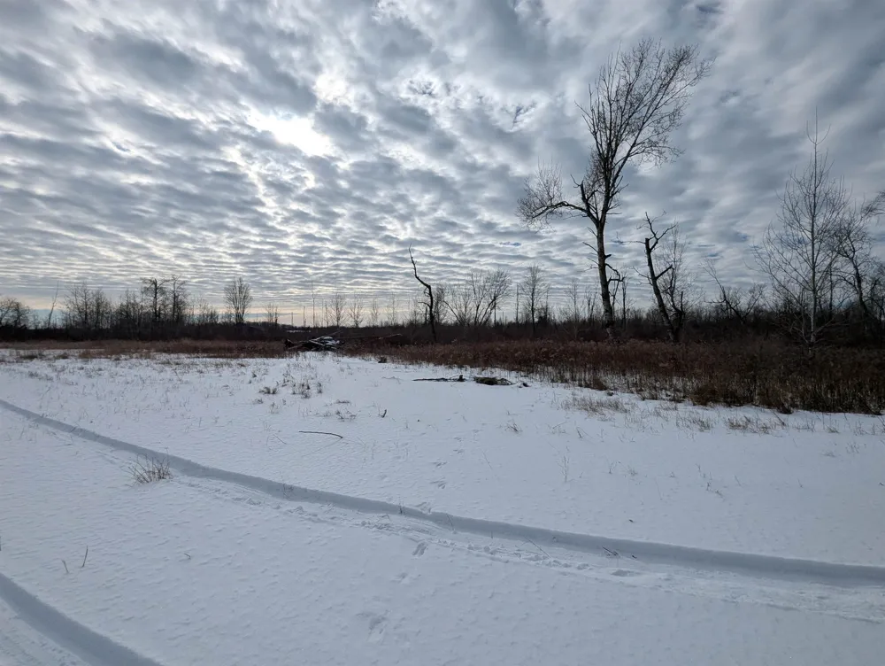 Swenson Road Au Gres Township, MI 48703
