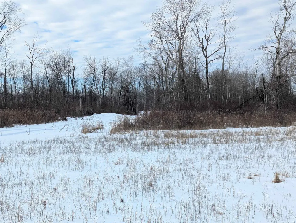 Swenson Road Au Gres Township, MI 48703
