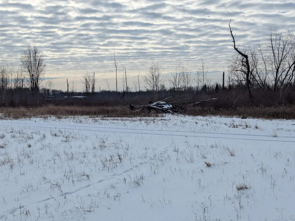Swenson Road Au Gres Township, MI 48703