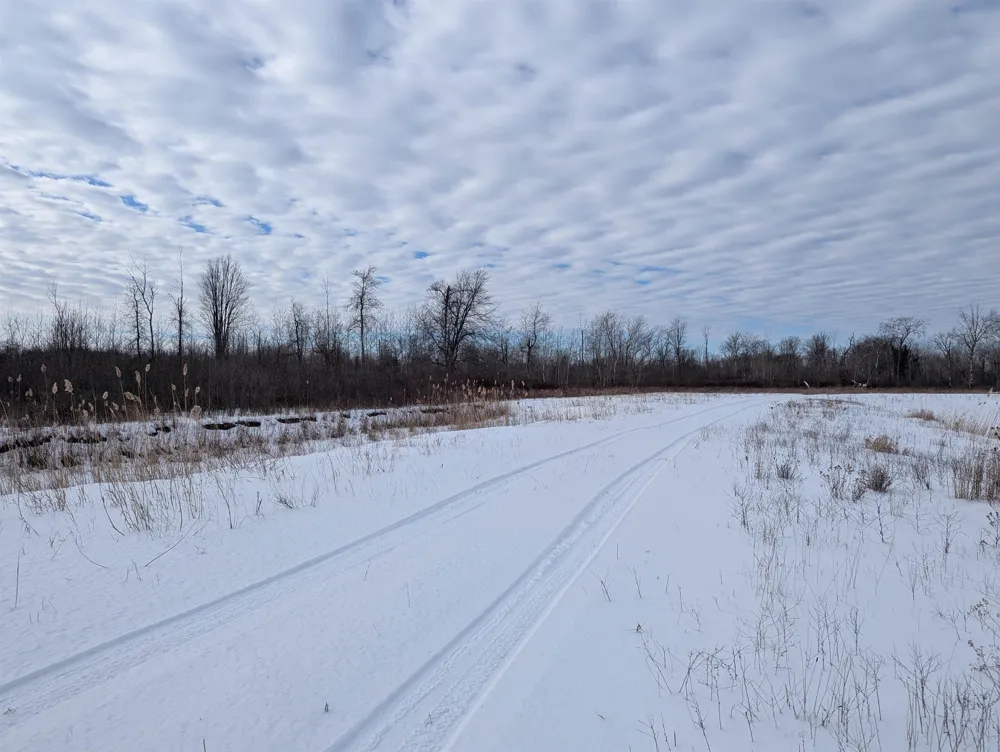 Swenson Road Au Gres Township, MI 48703