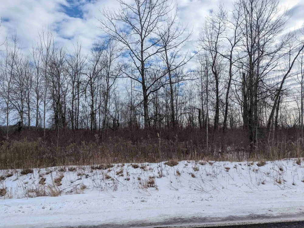 Swenson Road Au Gres Township, MI 48703