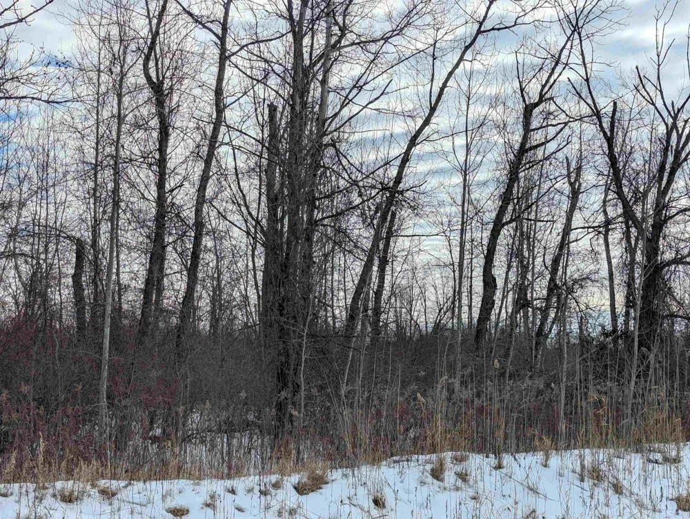 Swenson Road Au Gres Township, MI 48703