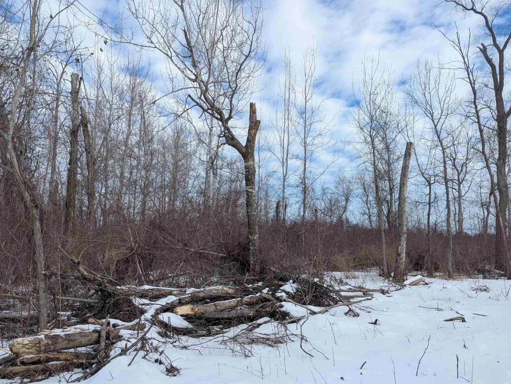 Swenson Road Au Gres Township, MI 48703