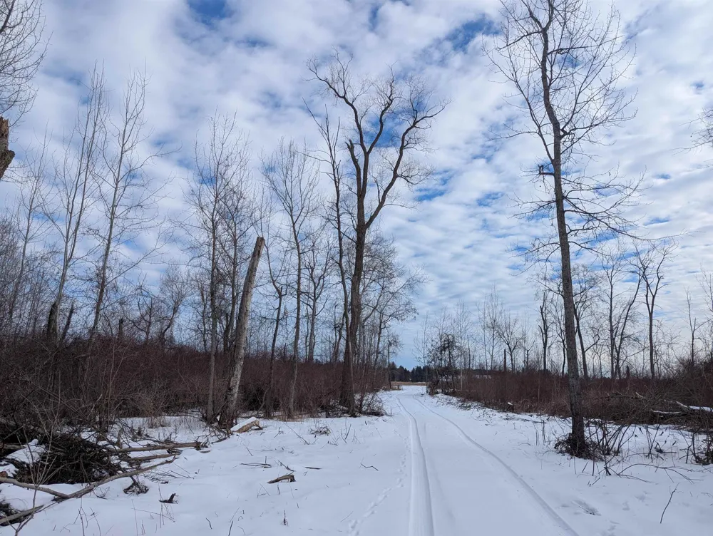 Swenson Road Au Gres Township, MI 48703