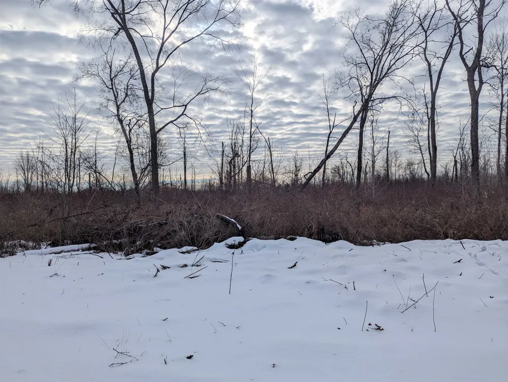 Swenson Road Au Gres Township, MI 48703