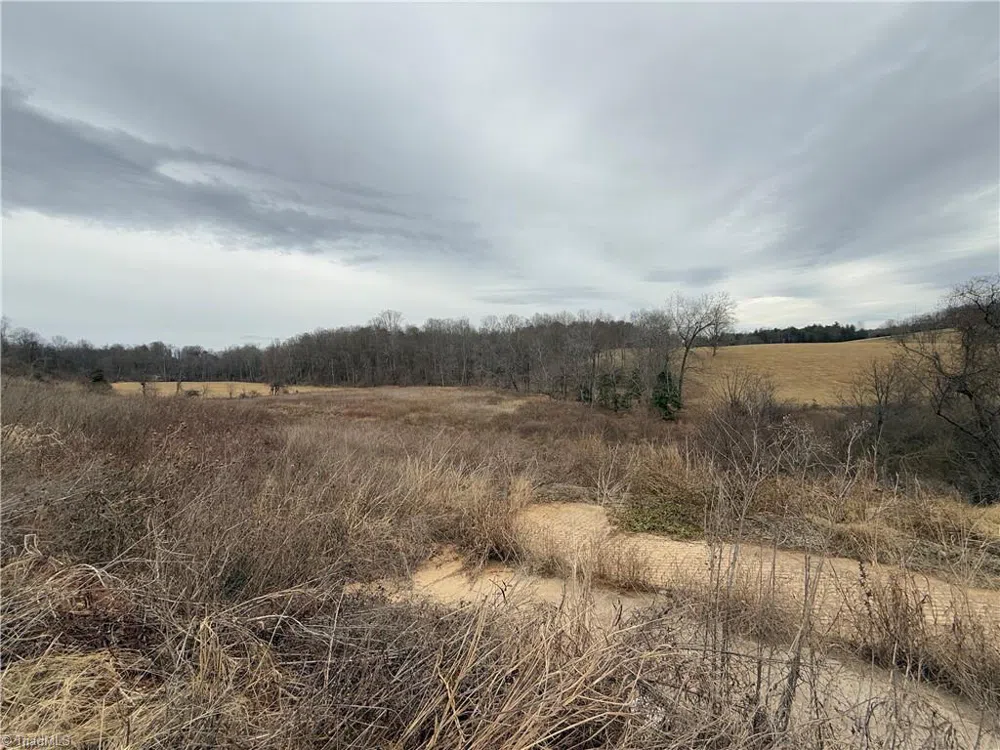 241 Mountain Valley Drive Traphill, NC 28685