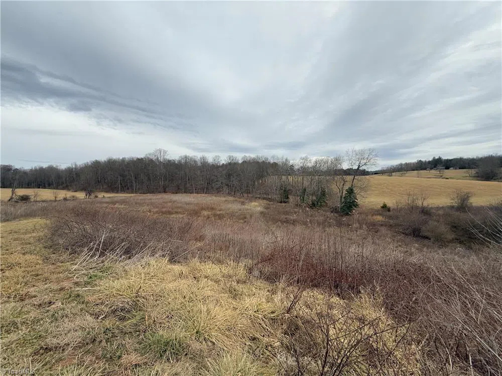 241 Mountain Valley Drive Traphill, NC 28685