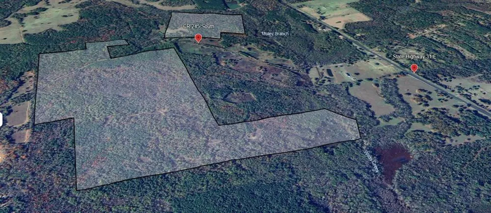 S CR 245 Kilgore, TX 75662
