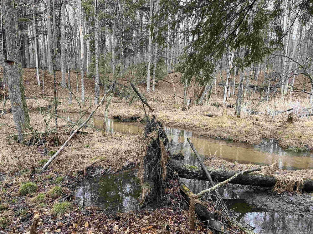 M-55 South Branch Township, MI 49689