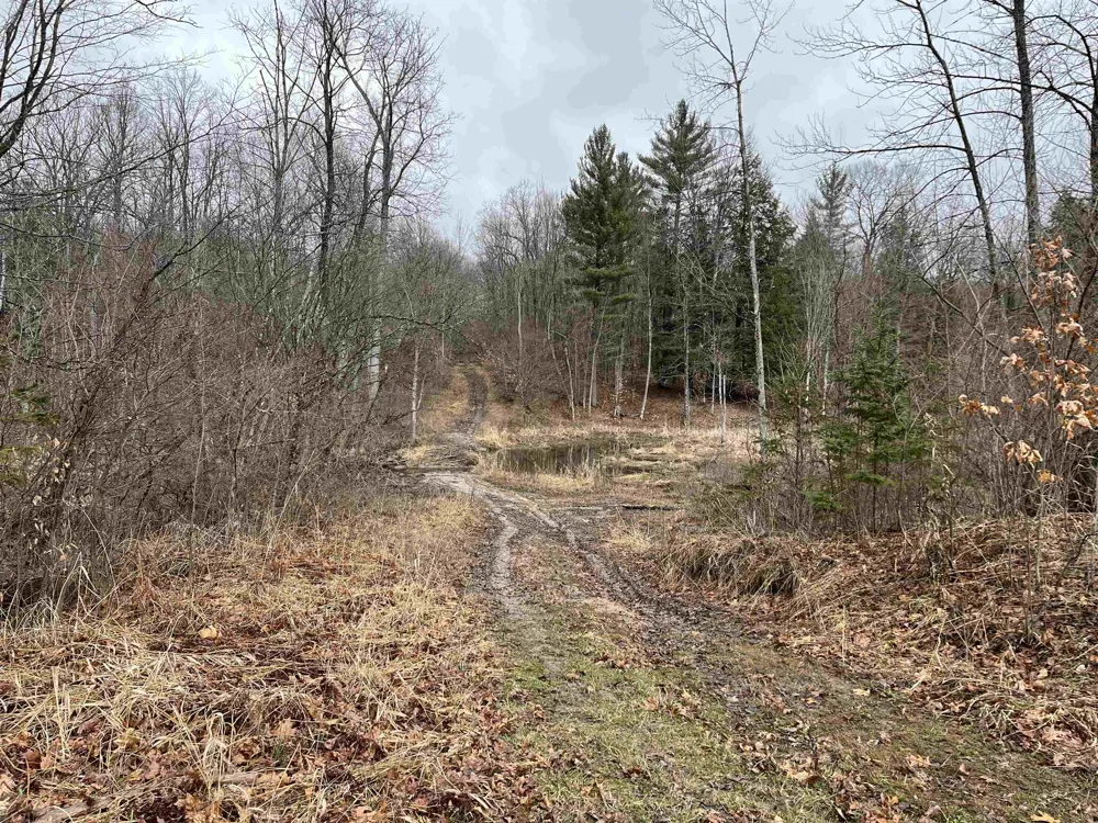 M-55 South Branch Township, MI 49689